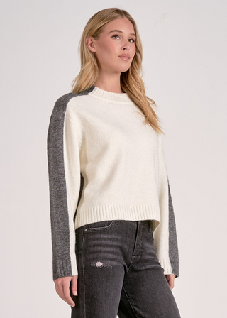Elan Colorblock Crewneck Sweater