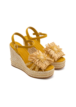 Palomitas Fannie Wedge