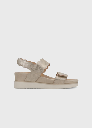Vaneli Ulani Sandal