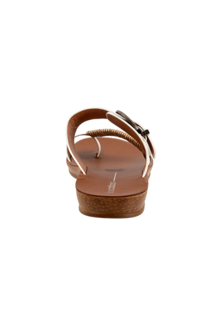 Los Cabos Bria Slide