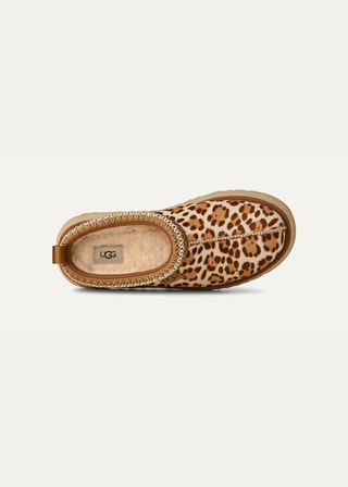 UGG Tazz Plains Slipper