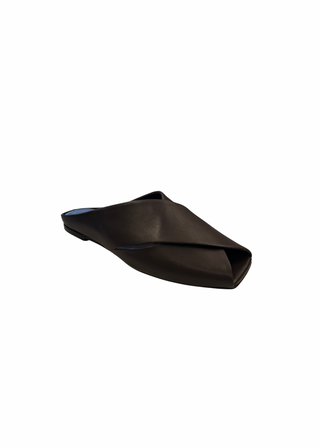 Silent D Barnee Slide