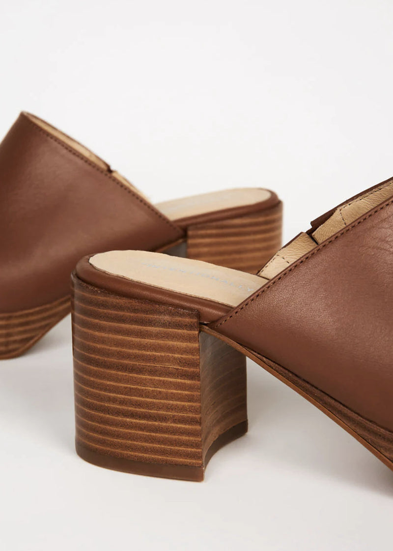 Intentionally____ Facts Platform Clog