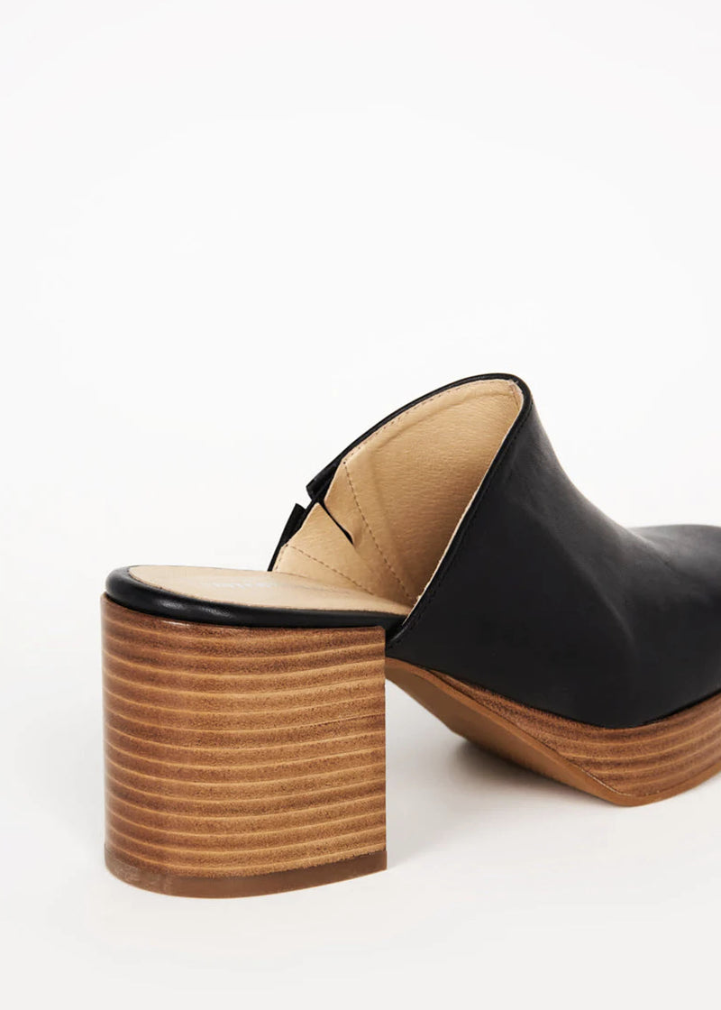 Intentionally____ Facts Platform Clog