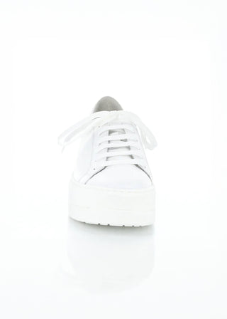 Bos & Co Maya Lace Up Sneakers